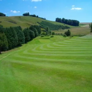 A Lush Green Golf Course